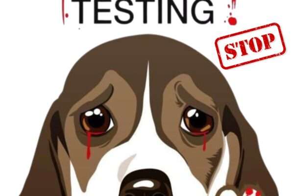 Stop Animal Testing